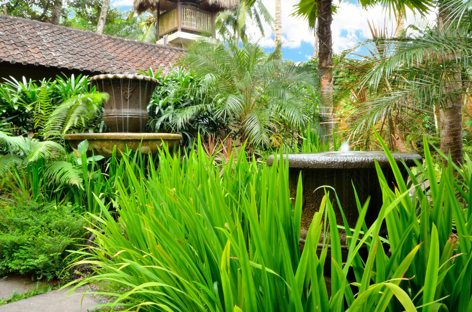 Jendela Di Bali Villa Tegallalang  Bagian luar foto