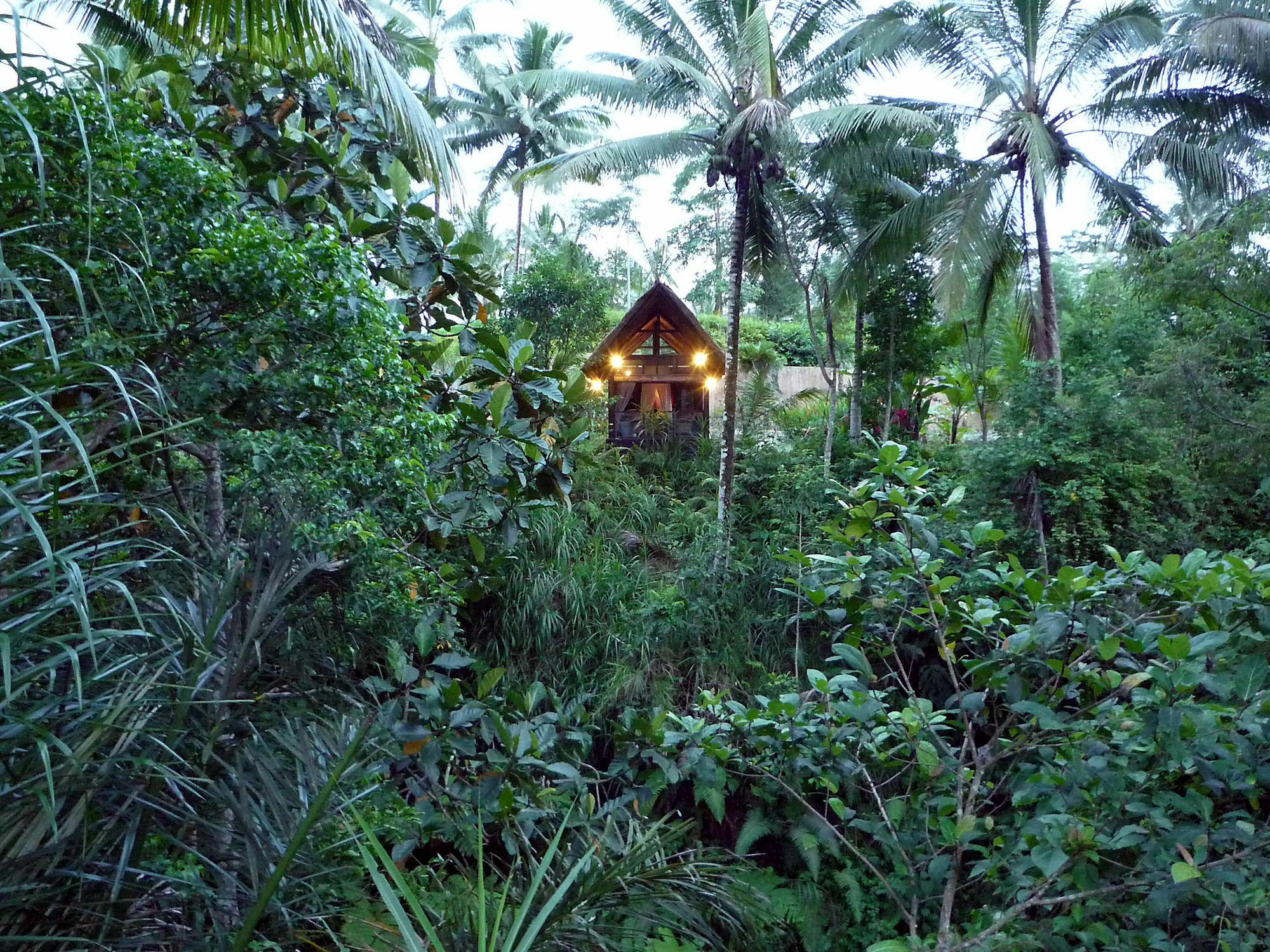 Jendela Di Bali Villa Tegallalang  Bagian luar foto
